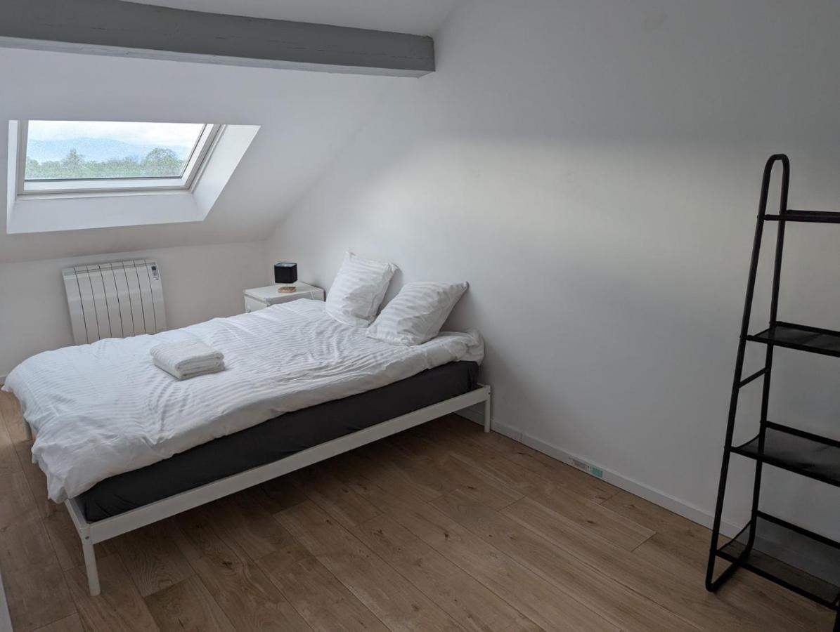 Le Vauban - Appartement 2 Chambres, Salon, Cuisine Equipee, Parking Et Wifi Gratuit Mulhouse Bagian luar foto
